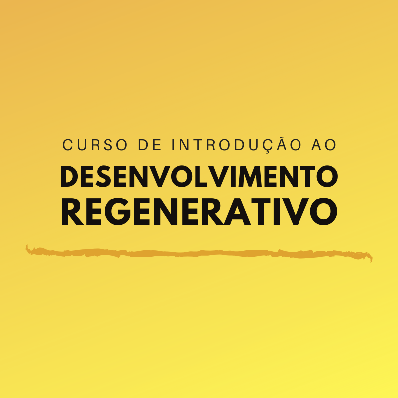 CURSO DDR LOGO